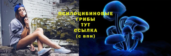 a pvp Алексин