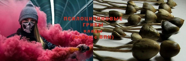 a pvp Алексин